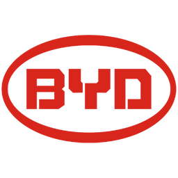 Cavo di ricarica BYD