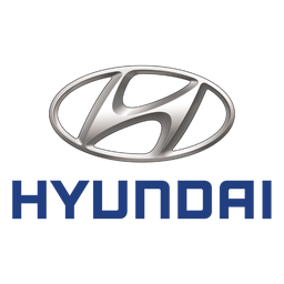 Cavo di ricarica Hyundai