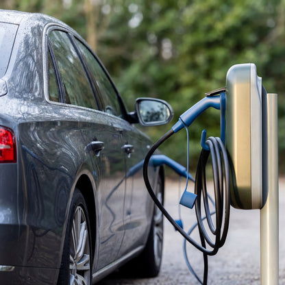 Voldt® EV Gancio per cavo